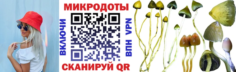 блэк спрут ТОР  Бийск  Псилоцибиновые грибы прущие грибы 