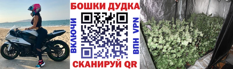блэк спрут ссылка  закладки  Бийск  Шишки марихуана MAZAR 